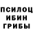 Галлюциногенные грибы GOLDEN TEACHER Gozal Tajimurodova
