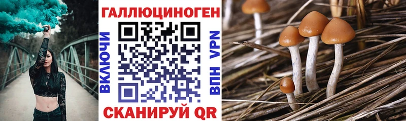 это наркотические препараты  Новохопёрск  Галлюциногенные грибы GOLDEN TEACHER 